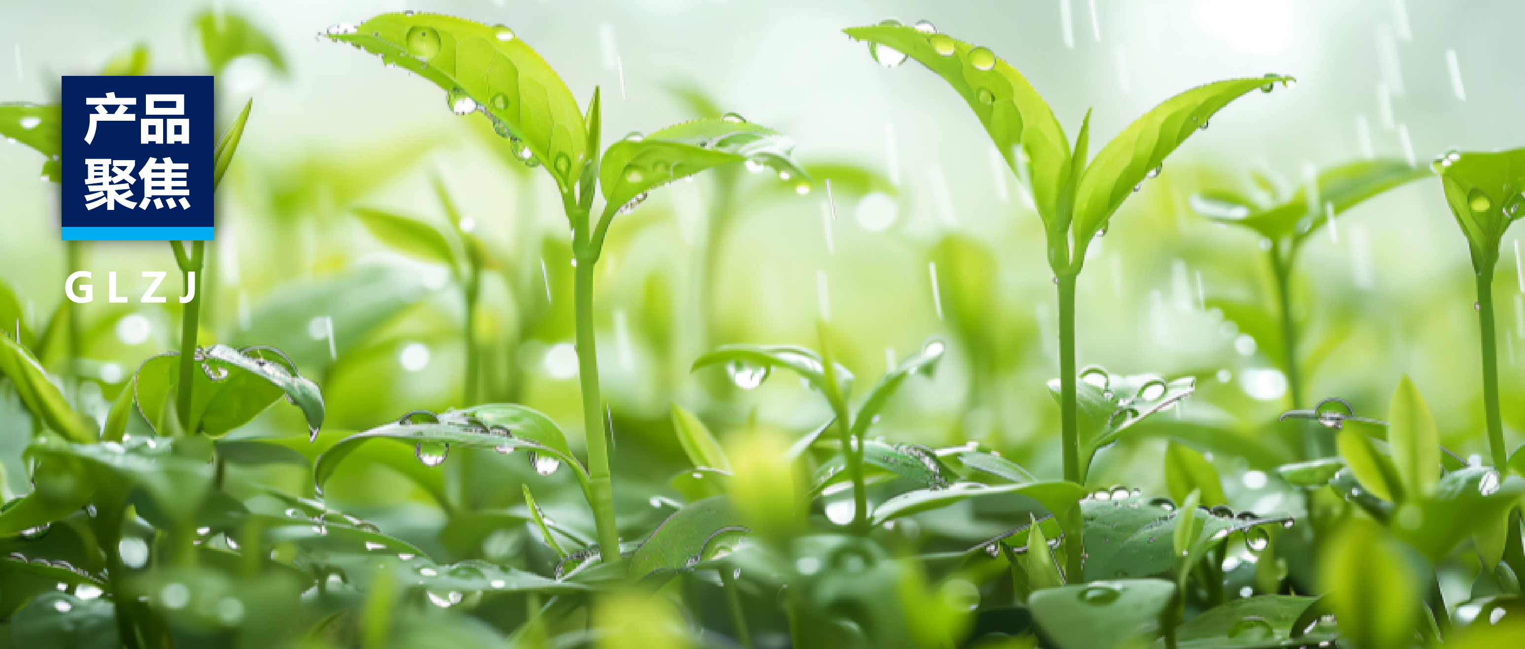 产品聚焦 | AG一飞冲天质检提供一站式茶叶解决规划